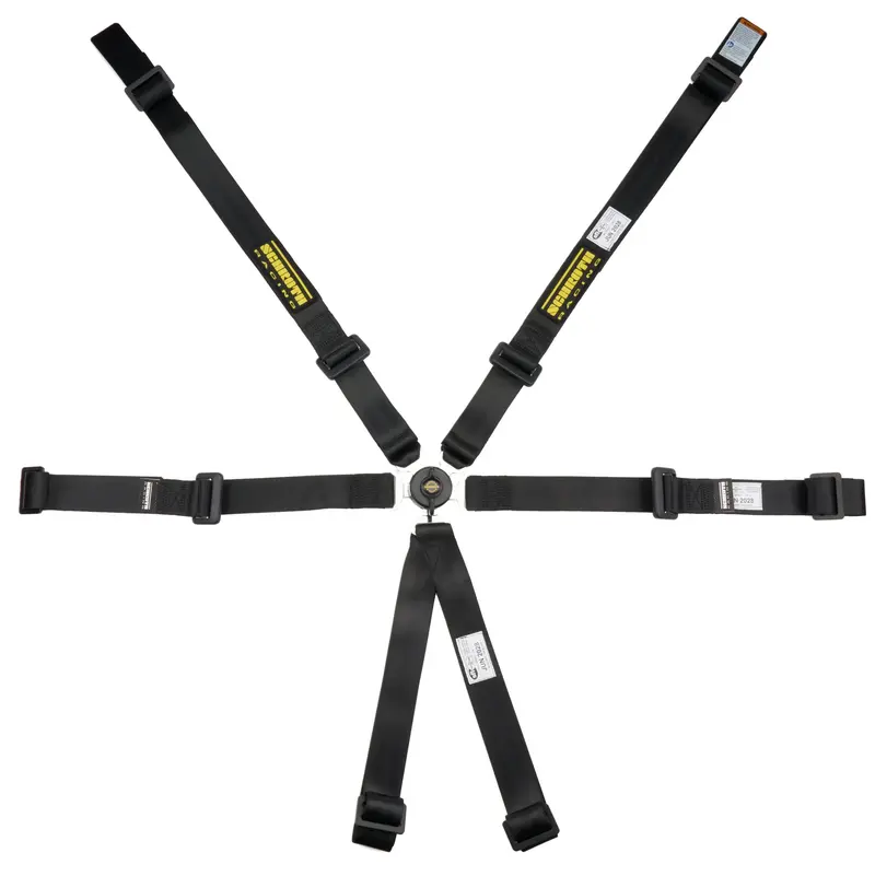 6Pt Harness Profi 2X2 Pull-Up Lap 1