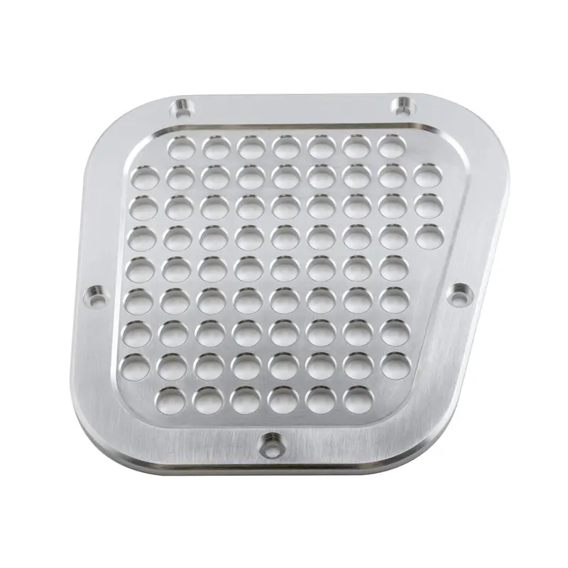 Air Intake Grille - Rh 1