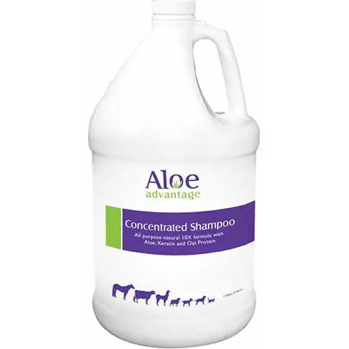 Aloe Advantage: Concentrated Shampoo With Aloe Gal 1