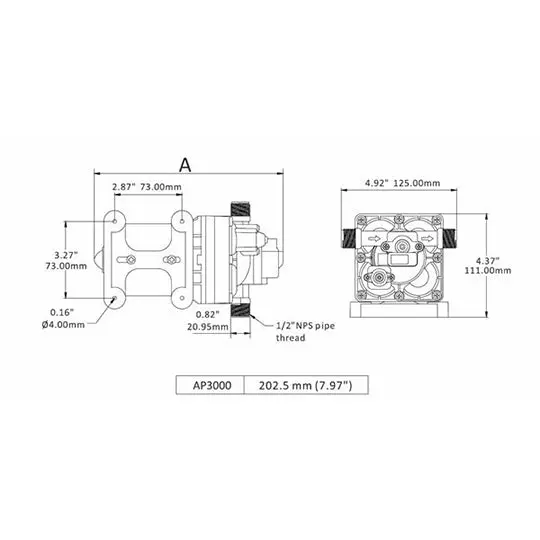 Aqua Pro Fresh Water Pump 2