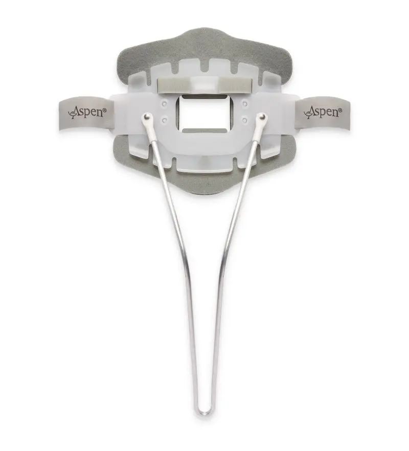 Aspen® Cto Back Panel - Standard 1