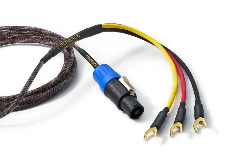 Audience Ohno Rel Subwoofer Cable 1