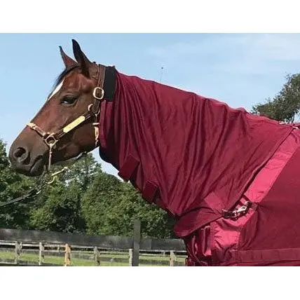 Back On Track Mesh Neck Cover- Wine 2