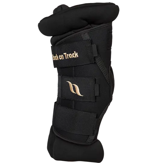 Back On Track Royal Deluxe Padded Hock Boots- Black 1