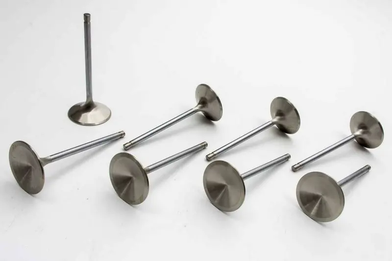 Bbc R/M 2.250In Intake Valves 1