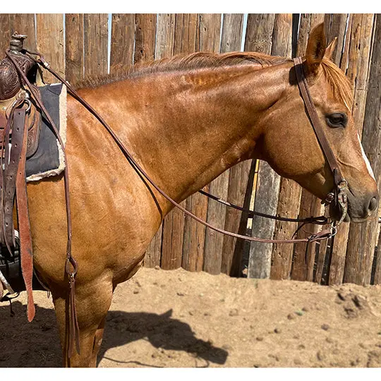 Berlin Custom Leather Heavy Oiled Rolled Leather Romal Reins 2