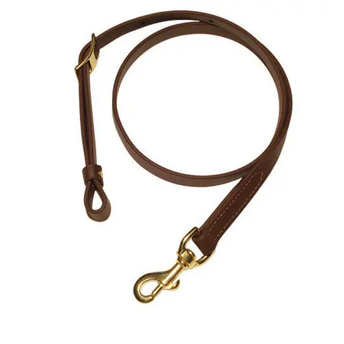 Berlin Leather Biothane Brown Tiedown Strap 1