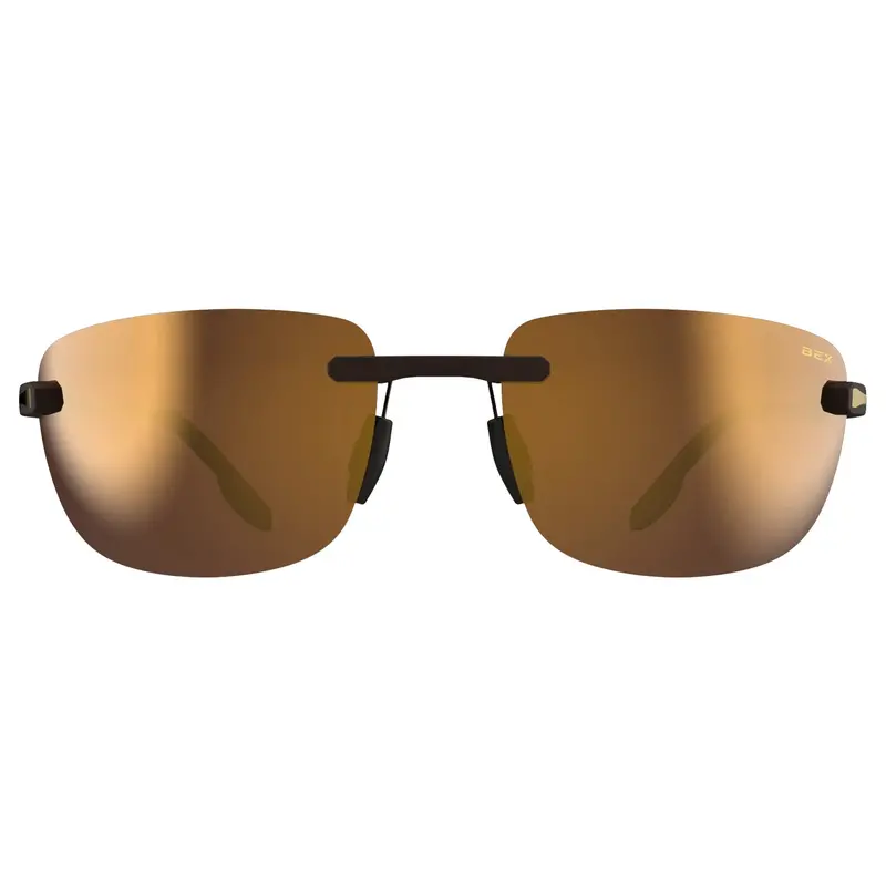Bex Sunglasses Brackley X- Tortoise/Gold 2