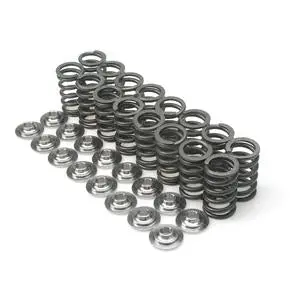 Brian Crower Honda/Acura K20a/K20z F20c/F22c-Race/Ltd Street Dual Springs And Titanium Retainers 1