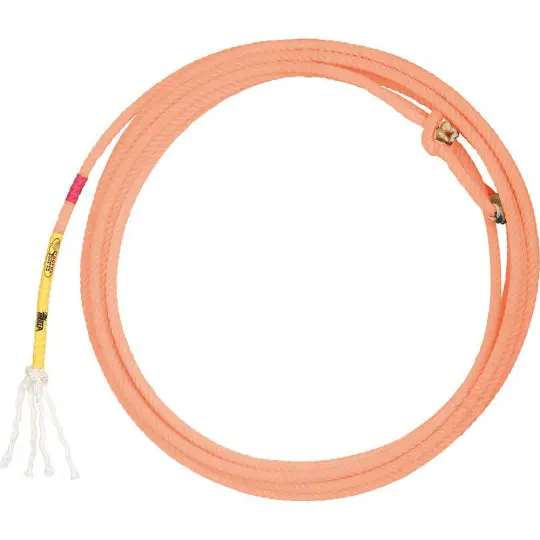 Cactus Ropes Mini Thrill Coretx Team Rope 1