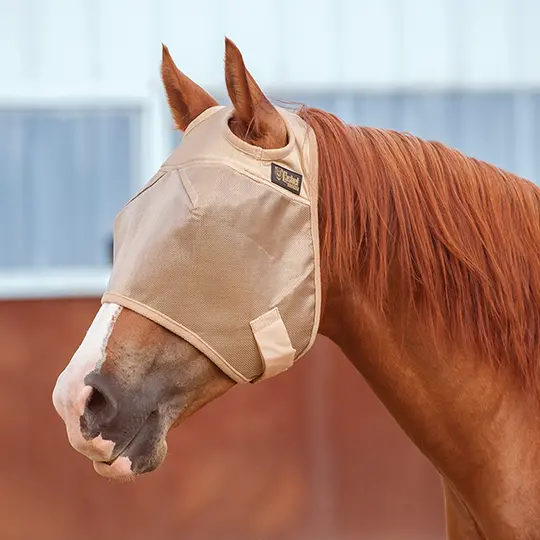 Cashel Econo Average Horse Sized Fly Mask 2
