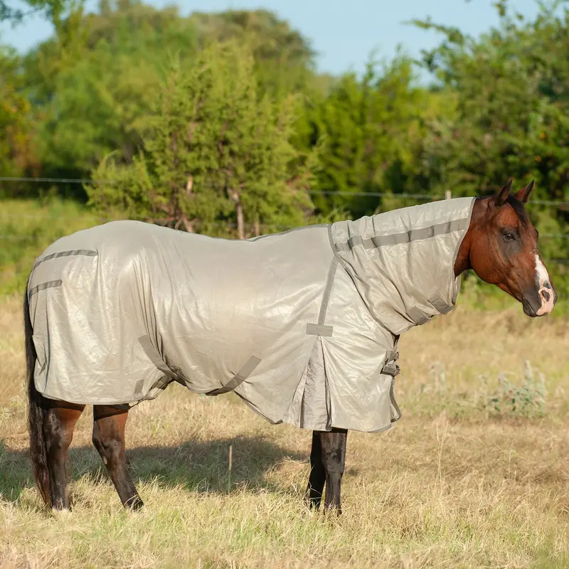 Cashel Econo Fly Sheet With Detachable Neck Guard 2