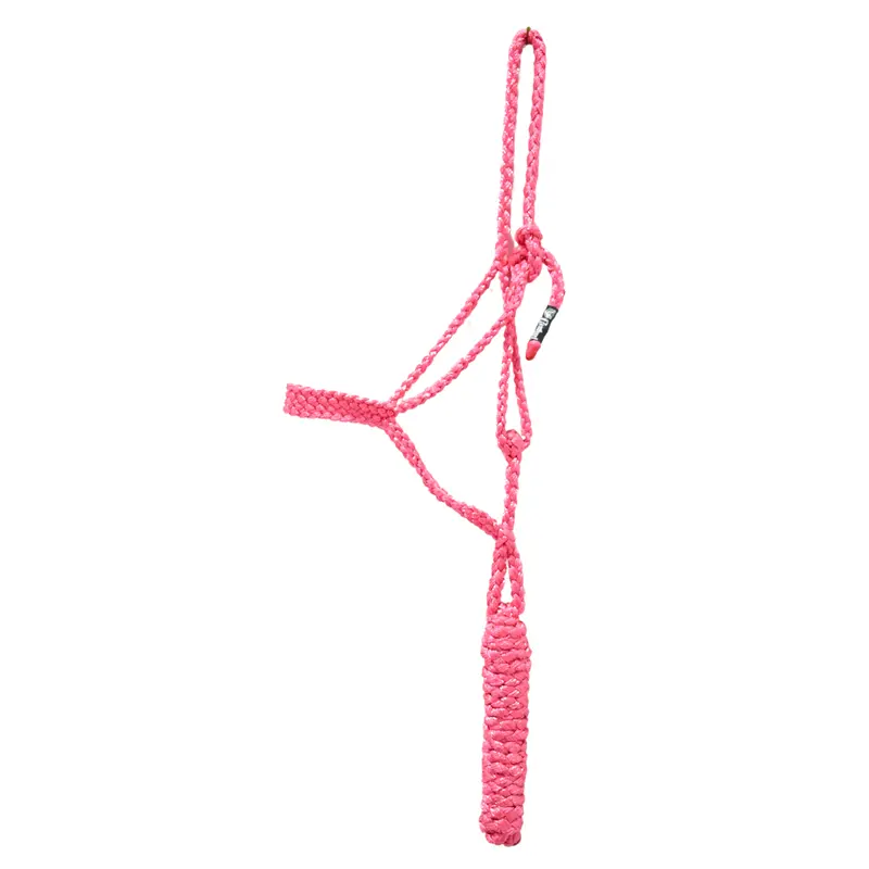 Cashel Flat Braid Halter With Lead Rope- Pink 1