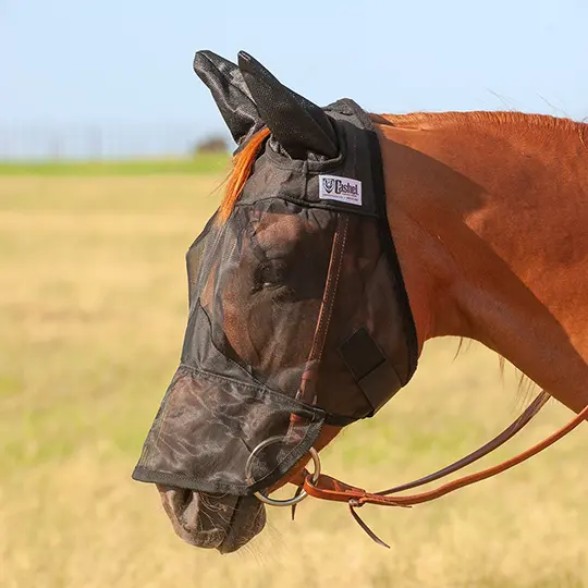 Cashel Quiet Ride Average Horse Sized Fly Mask Long Nose With Ears 1