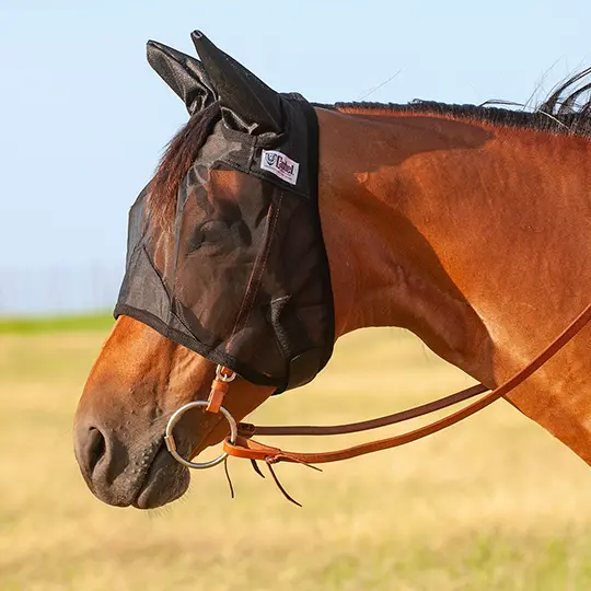 Cashel Quiet Ride Average Horse Sized Fly Mask With Ears 1