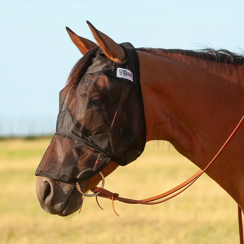 Cashel Quiet Ride Average Horse Sized Fly Mask With Long Nose 1