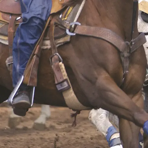 Classic Equine 100% Mohair Roper Cinch 2