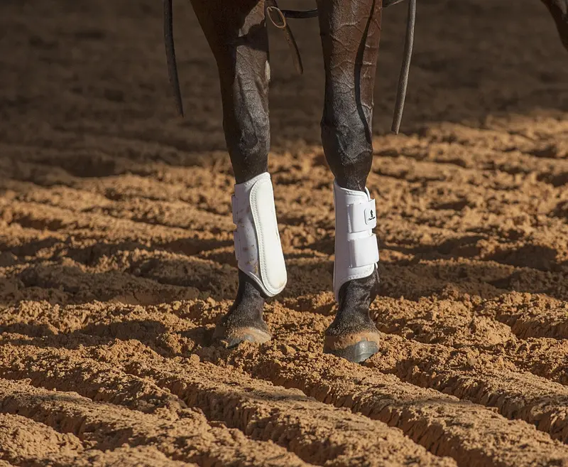Classic Equine Air Wavefront Splint Boots- White 2