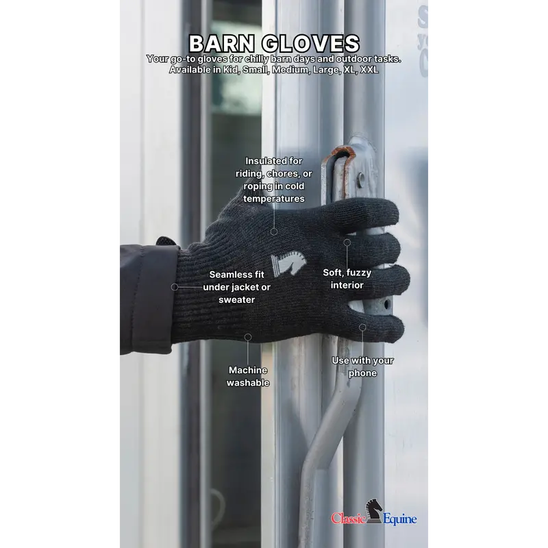 Classic Equine Barn Gloves (Comes In Pair) 3