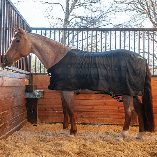 Classic Equine Black Magntx Sheet 1
