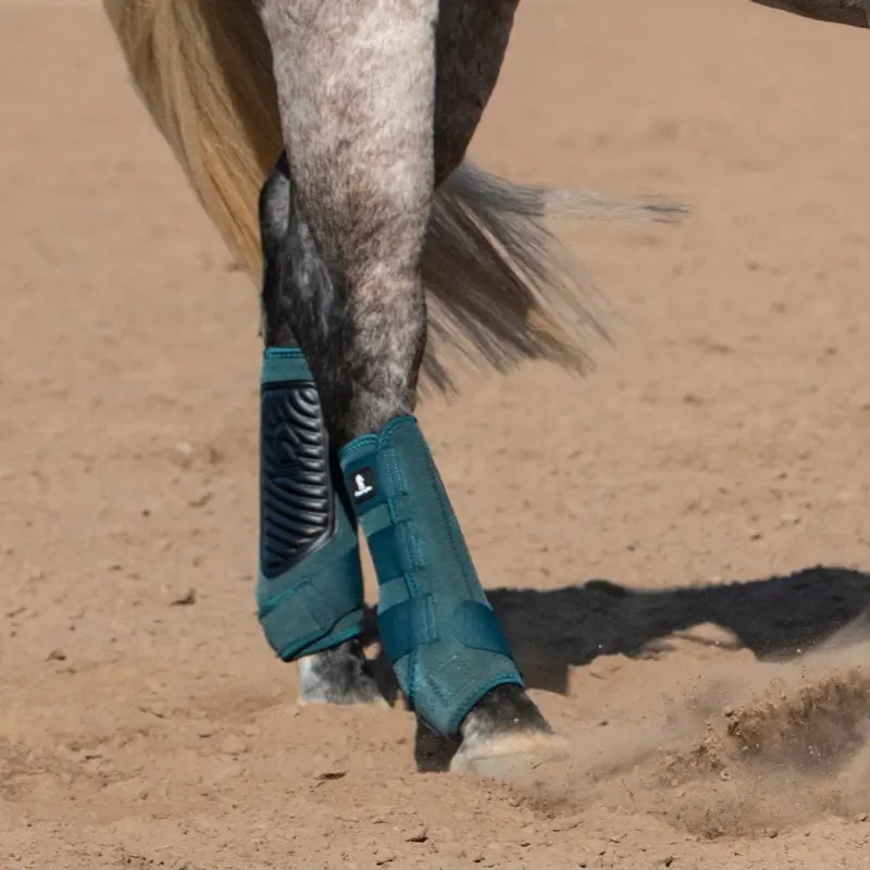 Classic Equine Classic Fit Hind Boots- Dragonfly 2