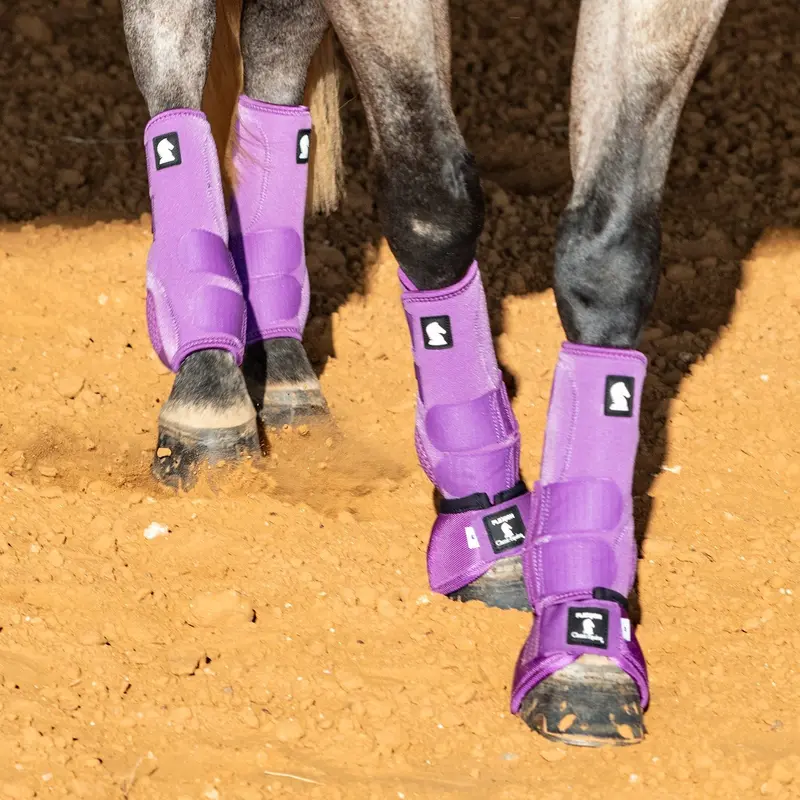 Classic Equine Flexion By Legacy Complete Package, Front, Hind, & Bell Boot Combo Pack- Violet Purple 2