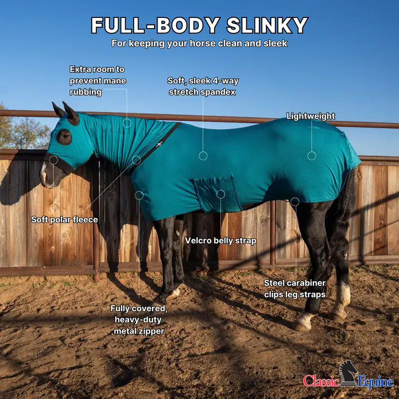 Classic Equine Full Body Slinky- Teal Green 2