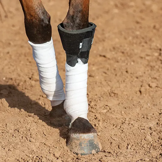 Classic Equine Knee Boot 2.0 2
