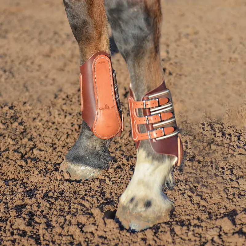 Classic Equine Leather Splint Boots With Buckles 2