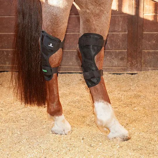Classic Equine Magntx Black Hock Wraps 2