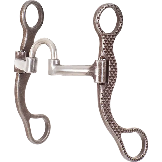 Classic Equine Rasp Shank Performance Short Correction Bit 1