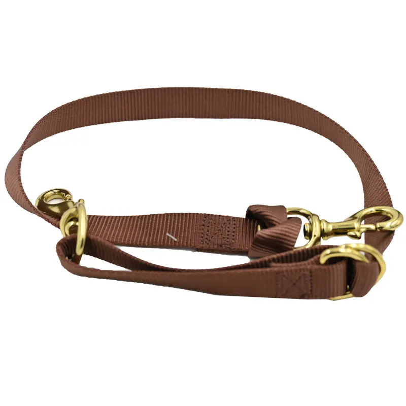 Coolhorse Brown Nylon Tie Down Strap 1