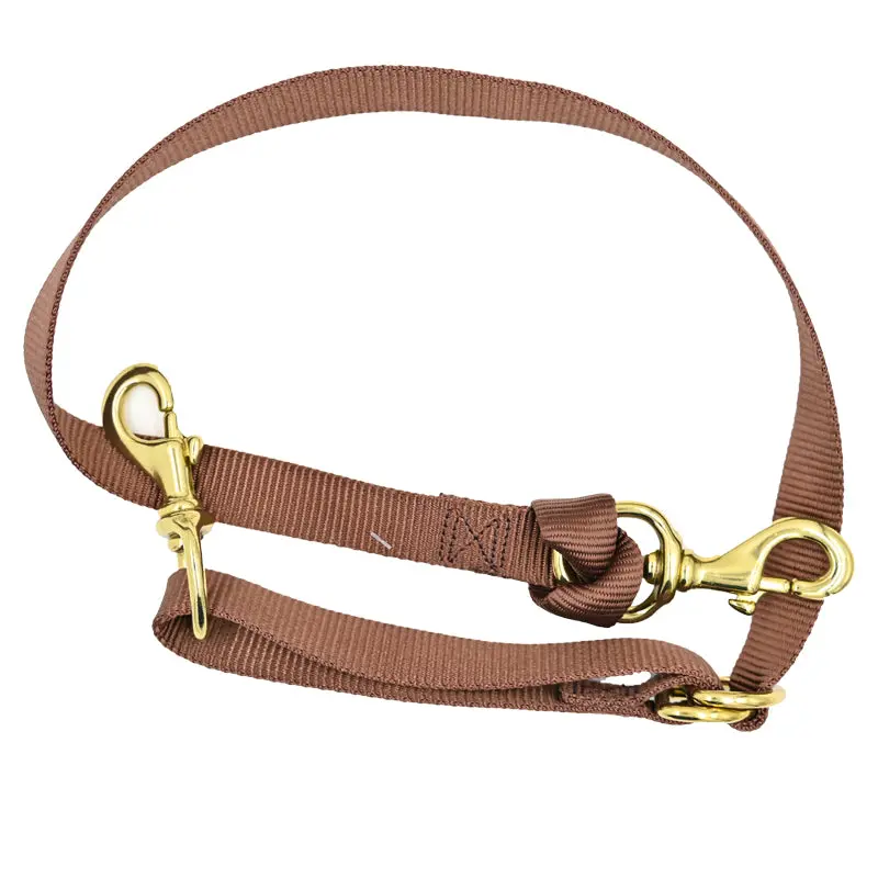 Coolhorse Brown Nylon Tie Down Strap 2