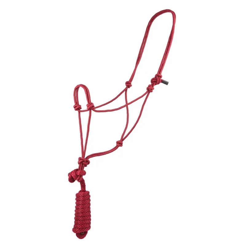 Coolhorse Burgundy Knotted Poly Rope Halter- 8' Lead 1