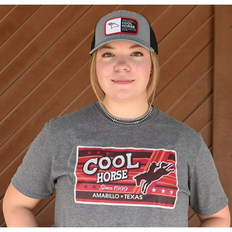 Coolhorse Gray Cap With Red Coolhorse Patch 2