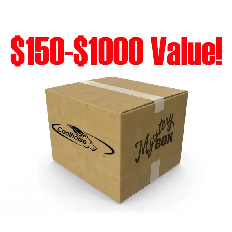 Coolhorse Jewelry Mystery Box 1