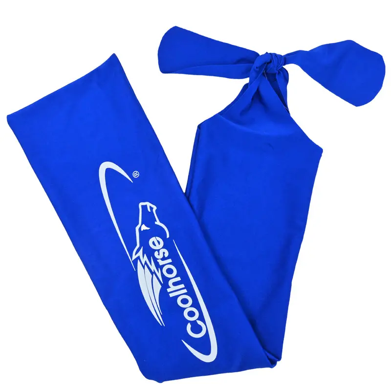 Coolhorse Lycra Tail Bag-Blue 1