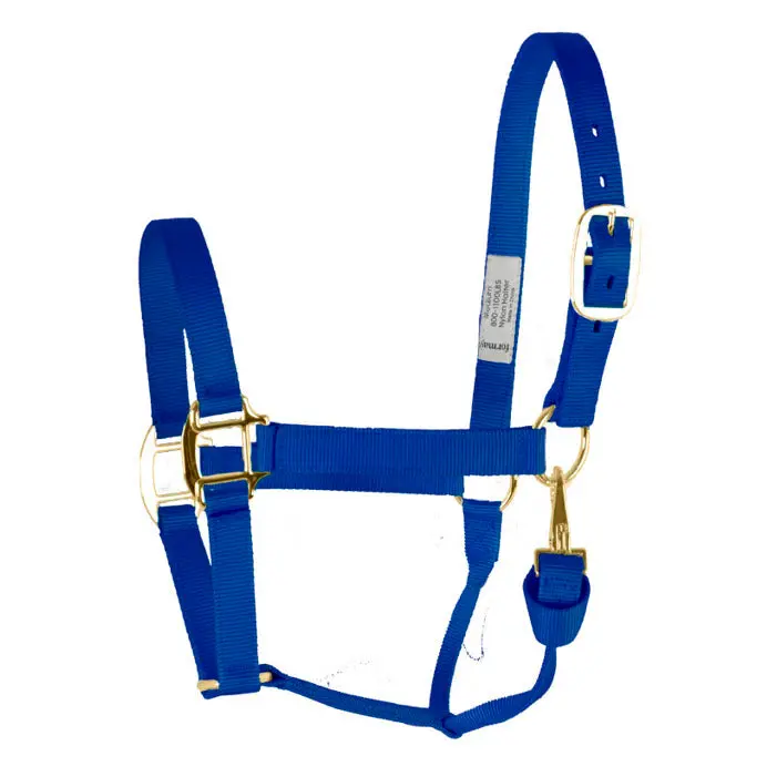 Coolhorse Nylon Buckle Halter-Blue 1