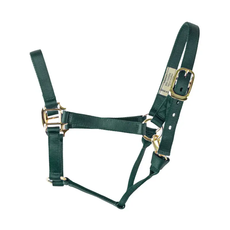 Coolhorse Nylon Buckle Halter-Hunter Green 1