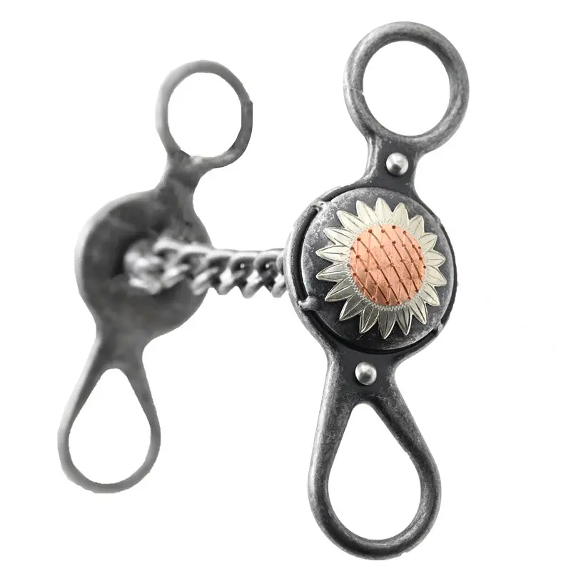 Coolhorse Sunflower Argentine Chain Bit 1