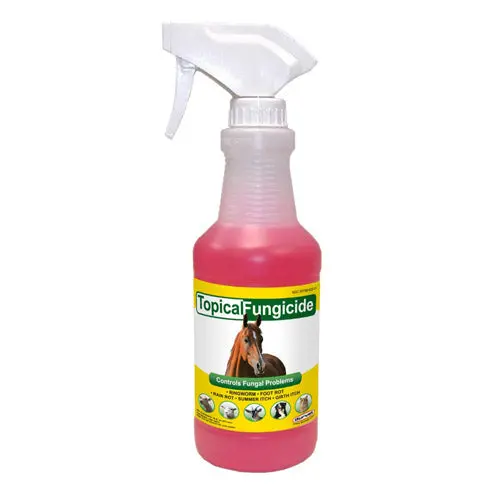 Durvet Topical Fungicide 16Oz 1
