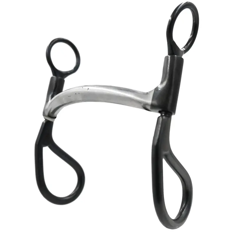 Dutton Mullen Bit With Teardrop Shanks 1
