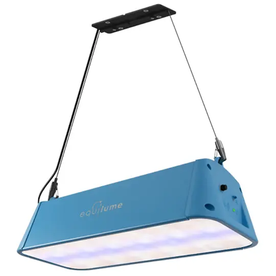 Equilume Stable Light V3 (Single Unit) 1