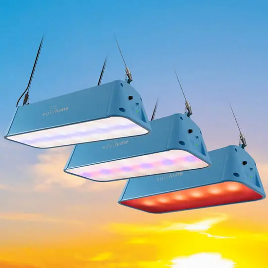 Equilume Stable Light V3 (Single Unit) 2
