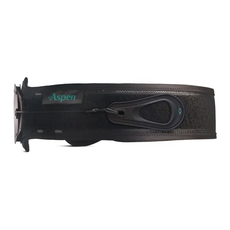 Evergreen™ 621 Si Belt 1