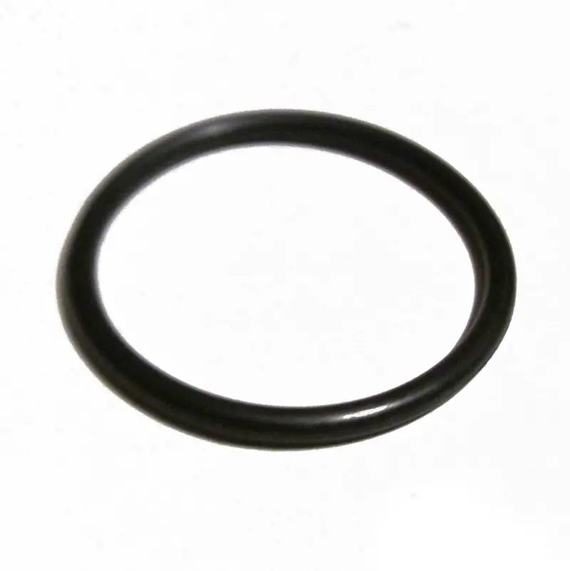 Fkm O-Ring (Single) 1