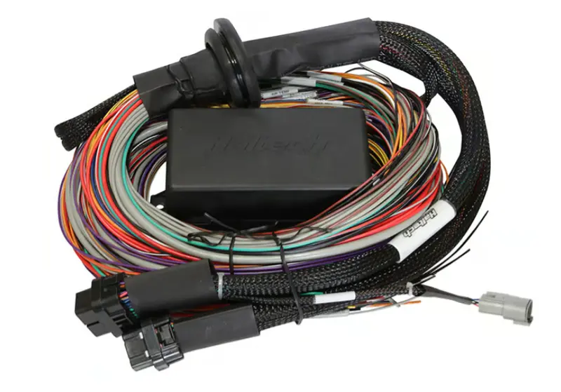 Haltech Elite 2500 & 2500 T Premium Universal Wire-In Harness Length: 2.5M (8') 1
