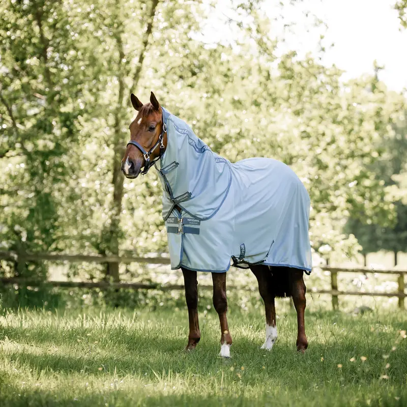 Horseware Amigo Bug Rug Plus Fly Sheet- Heather Blue/Blue/Silver 1