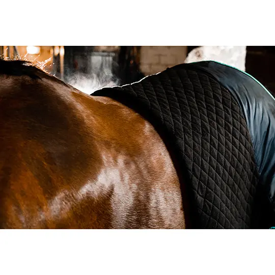 Horseware Autumn Cooling Sheet- Black/Aqua 2