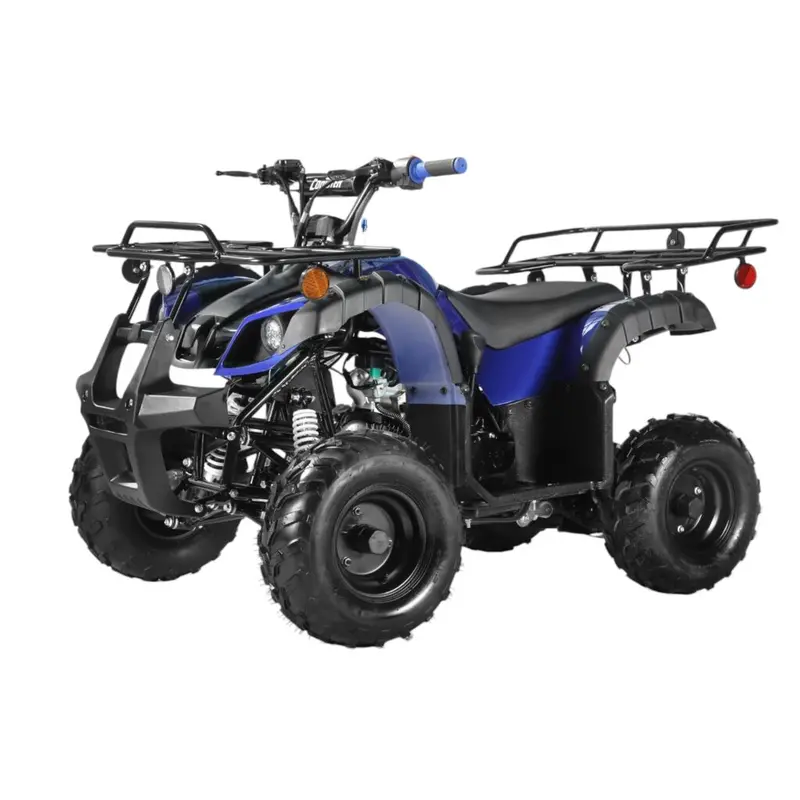 Mini 125Cc Utility Style Atv, Electric Start, Automatic With Reverse, 7-Inch Wheels, Ages 9-12 6